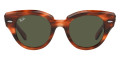 Striped Havana / Green