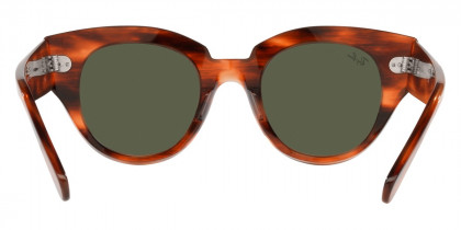 Ray-Ban™ - Roundabout RB2192
