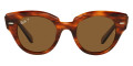 Striped Havana / Polarized Brown