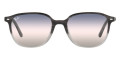 Gradient Gray Havana / Pink Gradient Blue Gradient Gray