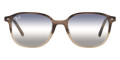 Gradient Brown Havana / Clear Gradient Blue Gradient Gray