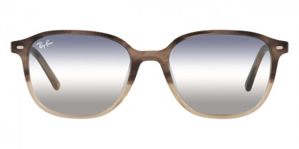 Ray-Ban™ - Leonard RB2193