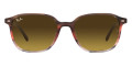 Striped Brown and Red / Brown