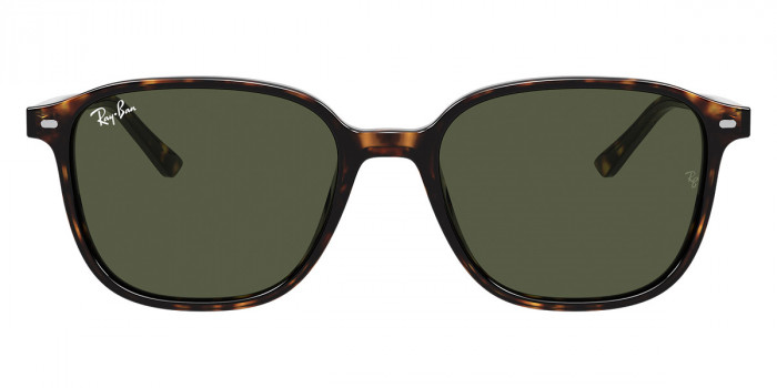 Ray-Ban™ Leonard RB2193 902/31 53 - Tortoise