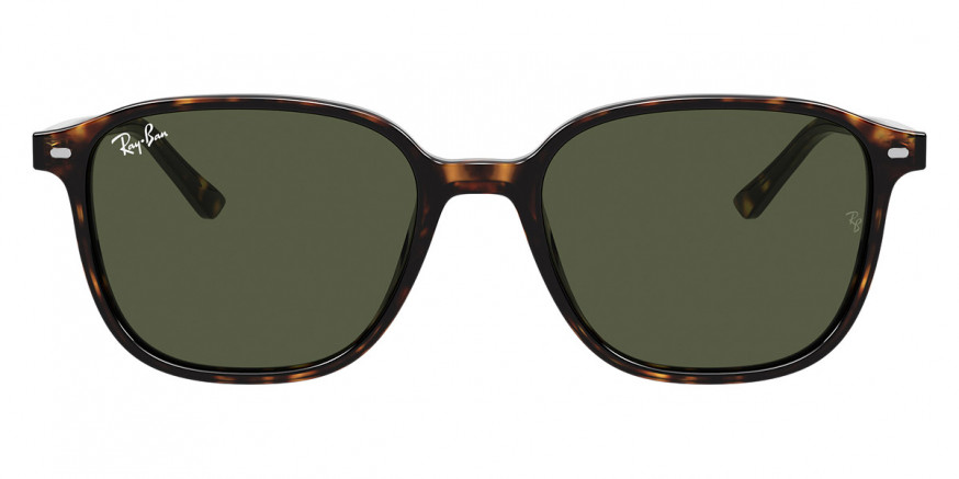 Ray-Ban™ Leonard RB2193 902/31 53 - Tortoise