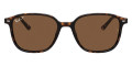 Tortoise / B-15 Brown Polarized