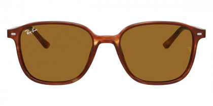 Ray-Ban™ - Leonard RB2193