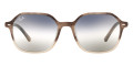Gradient Brown Havana / Clear Gradient Blue Gradient Gray