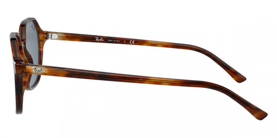 Ray-Ban™ - John RB2194