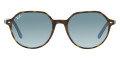Havana On Light Blue / Blue Gradient Gray