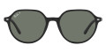 Black / Polarized Green