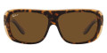 Havana on Transparent Brown / Polarized Brown