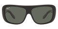 Black / Polarized Green