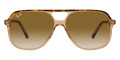 Havana on Transparent Brown / Clear Gradient Brown
