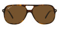 Havana / Polarized Brown