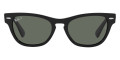 Black / Green Polarized
