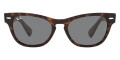 Tortoise / Dark Gray