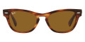 Striped Havana / Brown
