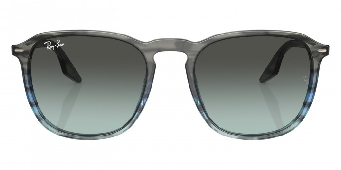 Ray-Ban™ - RB2203