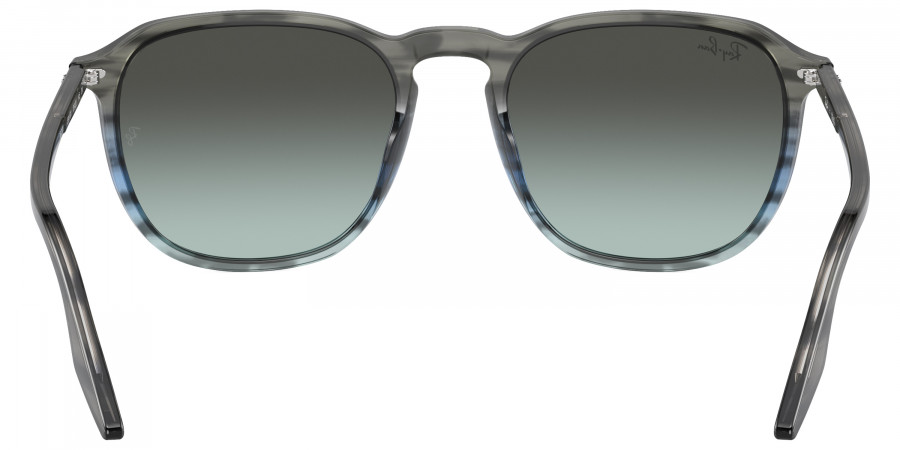 Ray-Ban™ - RB2203