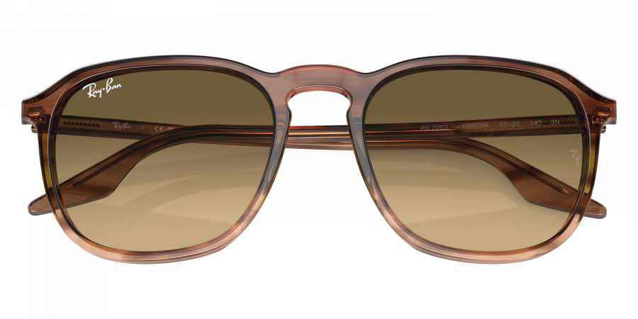 Ray-Ban™ - RB2203