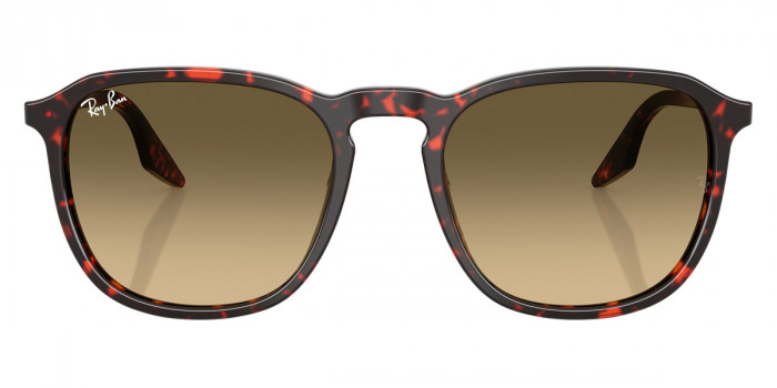 Ray-Ban™ RB2203 14290A 55 - Havana Red Turtle