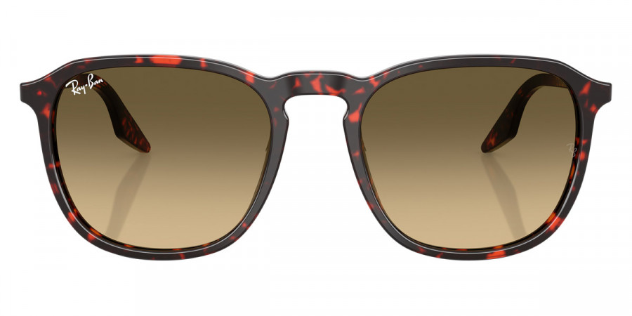 Ray-Ban™ RB2203 14290A 52 - Havana Red Turtle