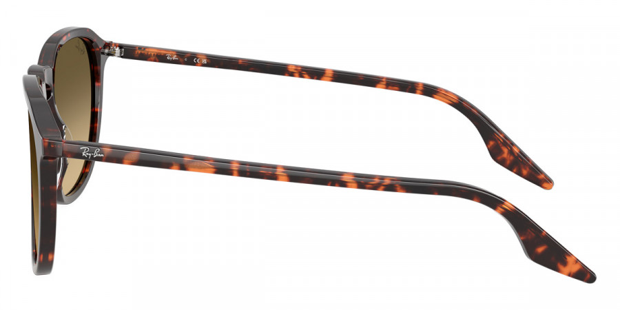 Color: Havana Red Turtle (14290A) - Ray-Ban RB220314290A52