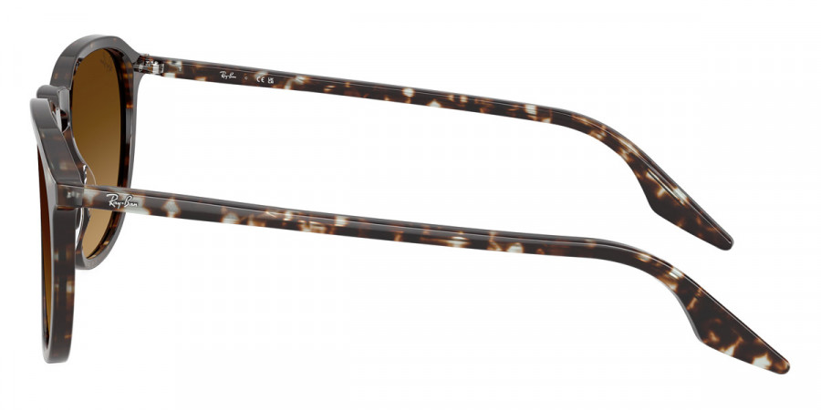 Color: Havana Yellow Turtle (143185) - Ray-Ban RB220314318552