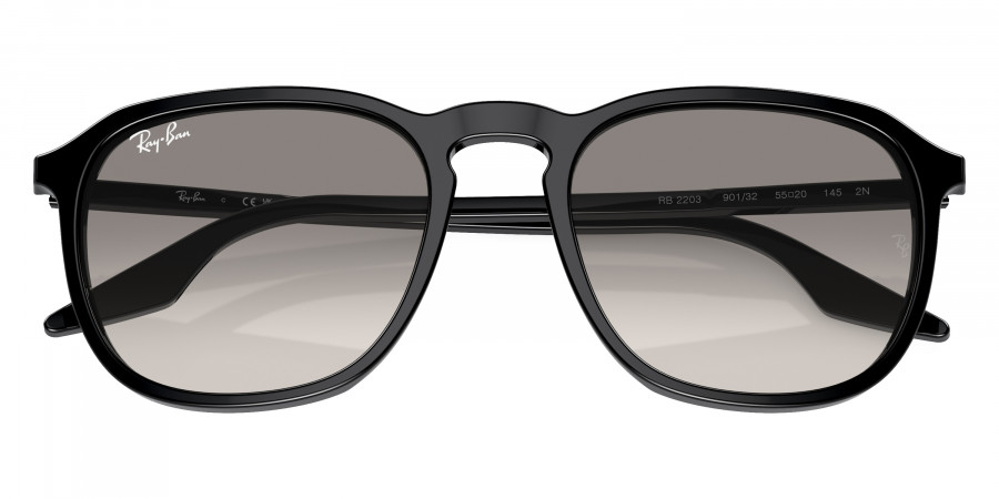 Ray-Ban™ - RB2203