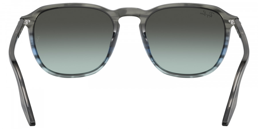 Ray-Ban™ - RB2203F