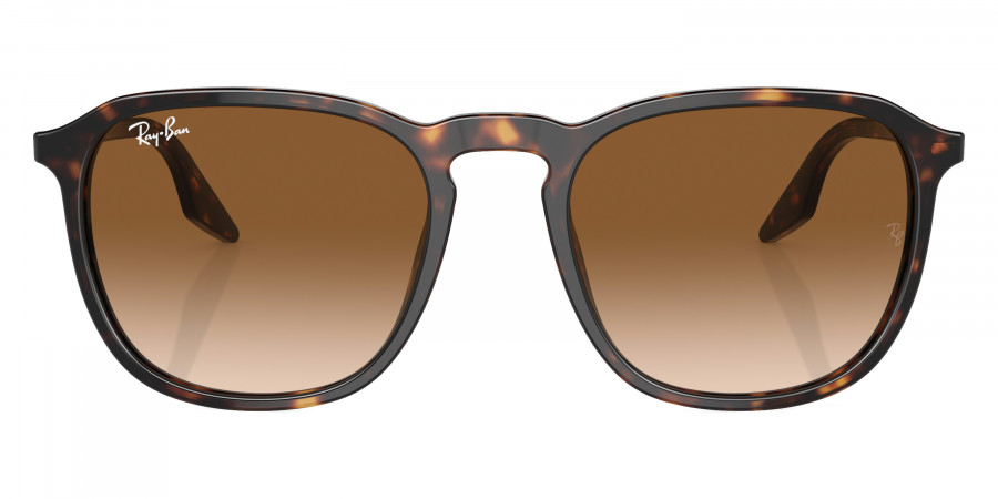 Ray-Ban™ - RB2203F