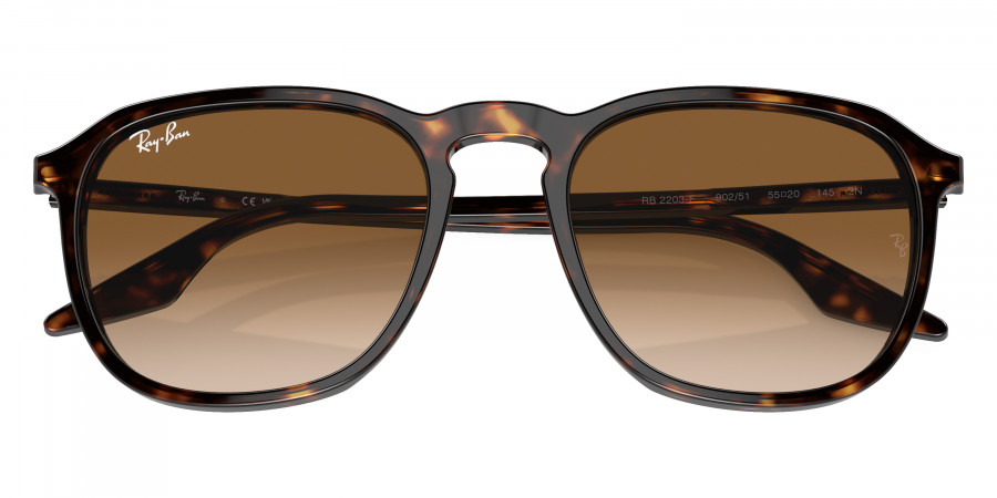 Ray-Ban™ - RB2203F