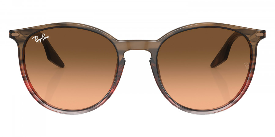 Ray-Ban™ - RB2204