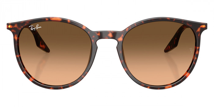 Ray-Ban™ RB2204 14293B 51 - Havana Red Turtle