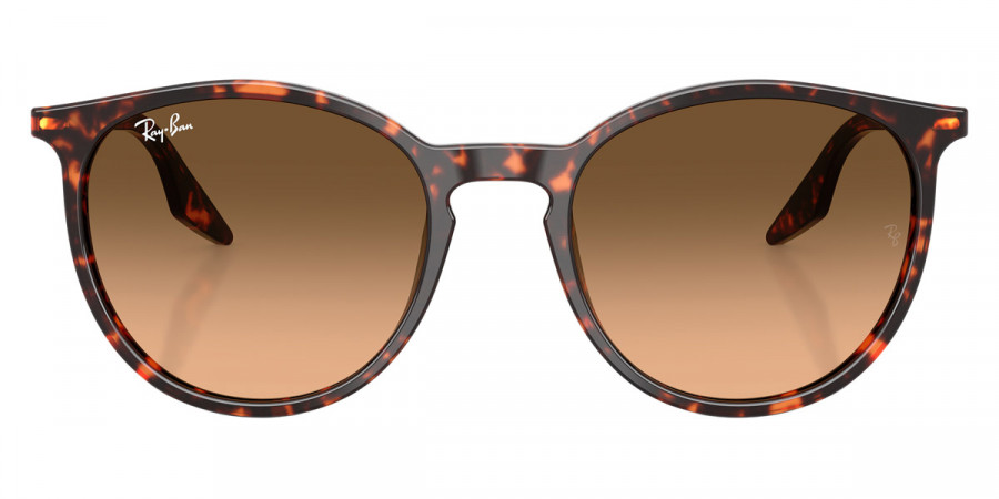 Ray-Ban™ RB2204 14293B 51 - Havana Red Turtle