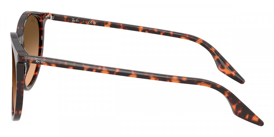 Color: Havana Red Turtle (14293B) - Ray-Ban RB220414293B51
