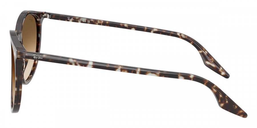 Color: Havana Yellow Turtle (143151) - Ray-Ban RB220414315151