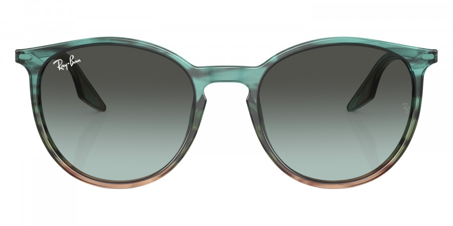 Ray-Ban™ - RB2204F