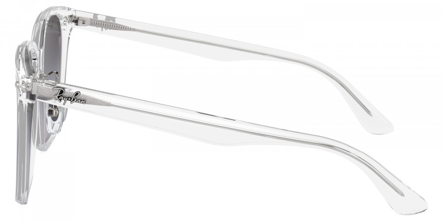 Ray-Ban™ - RB2206D
