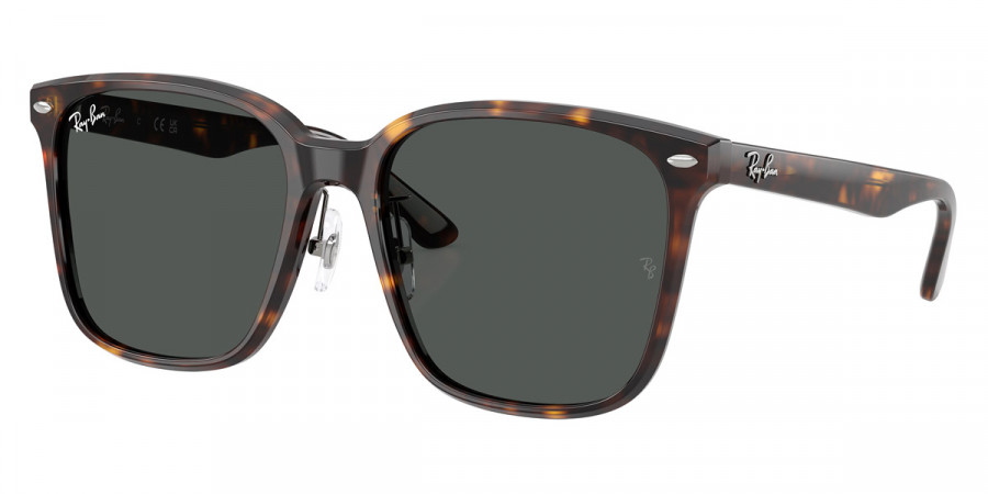 Color: Havana (710/87) - Ray-Ban RB2206D710/8757
