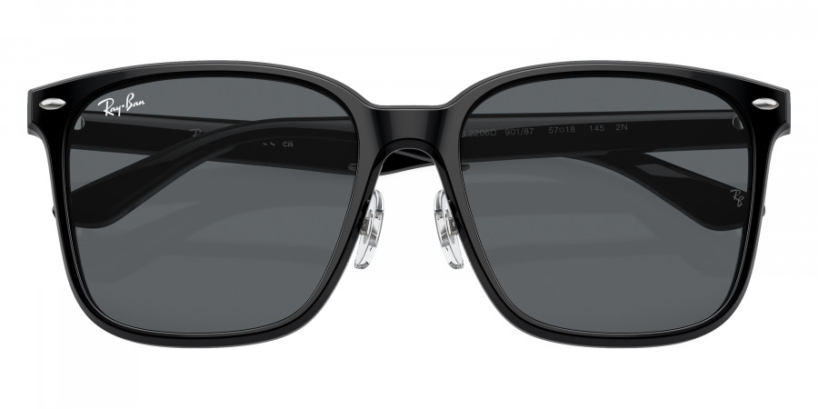 Ray-Ban™ - RB2206D