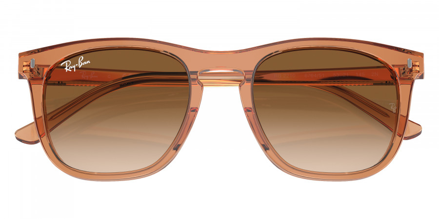 Ray-Ban™ - RB2210