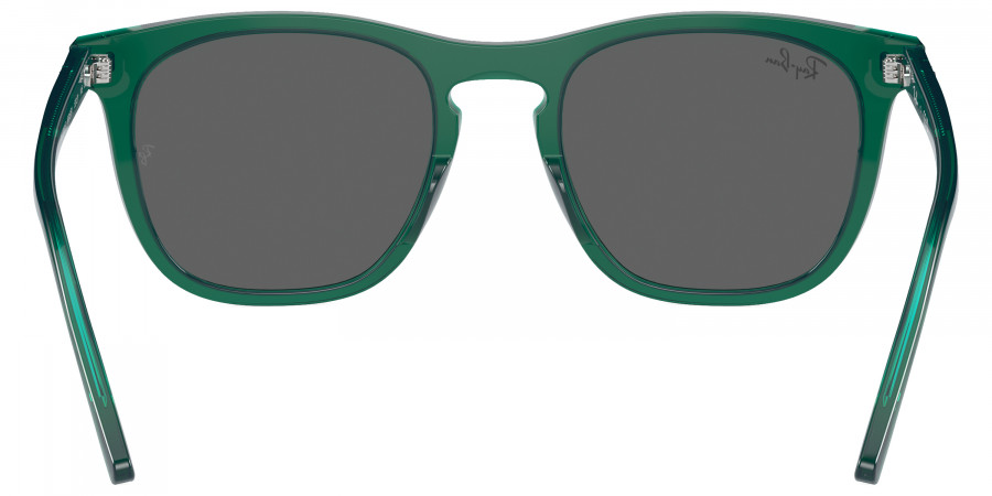Ray-Ban™ - RB2210F