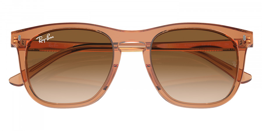 Ray-Ban™ - RB2210F