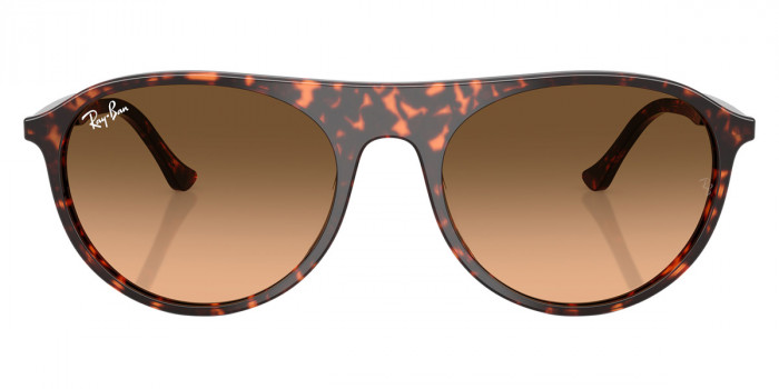 Ray-Ban™ - RB2215