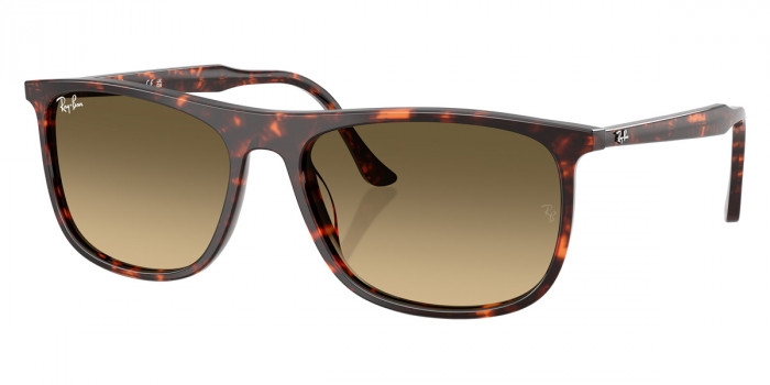 Ray-Ban™ - RB2216