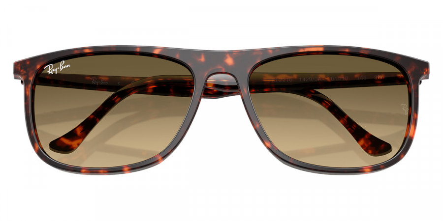 Ray-Ban™ - RB2216