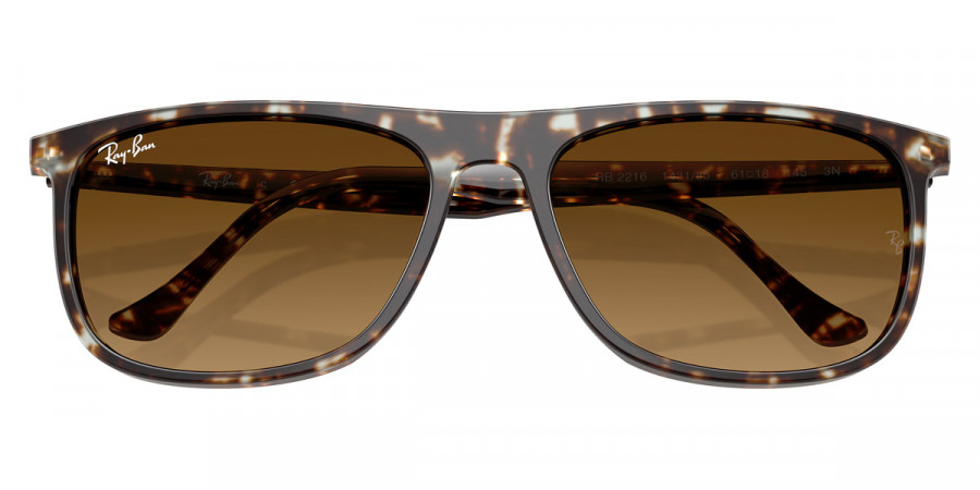 Ray-Ban™ - RB2216