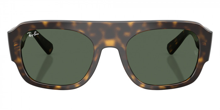 Ray-Ban™ RB2218 679071 55 - Havana